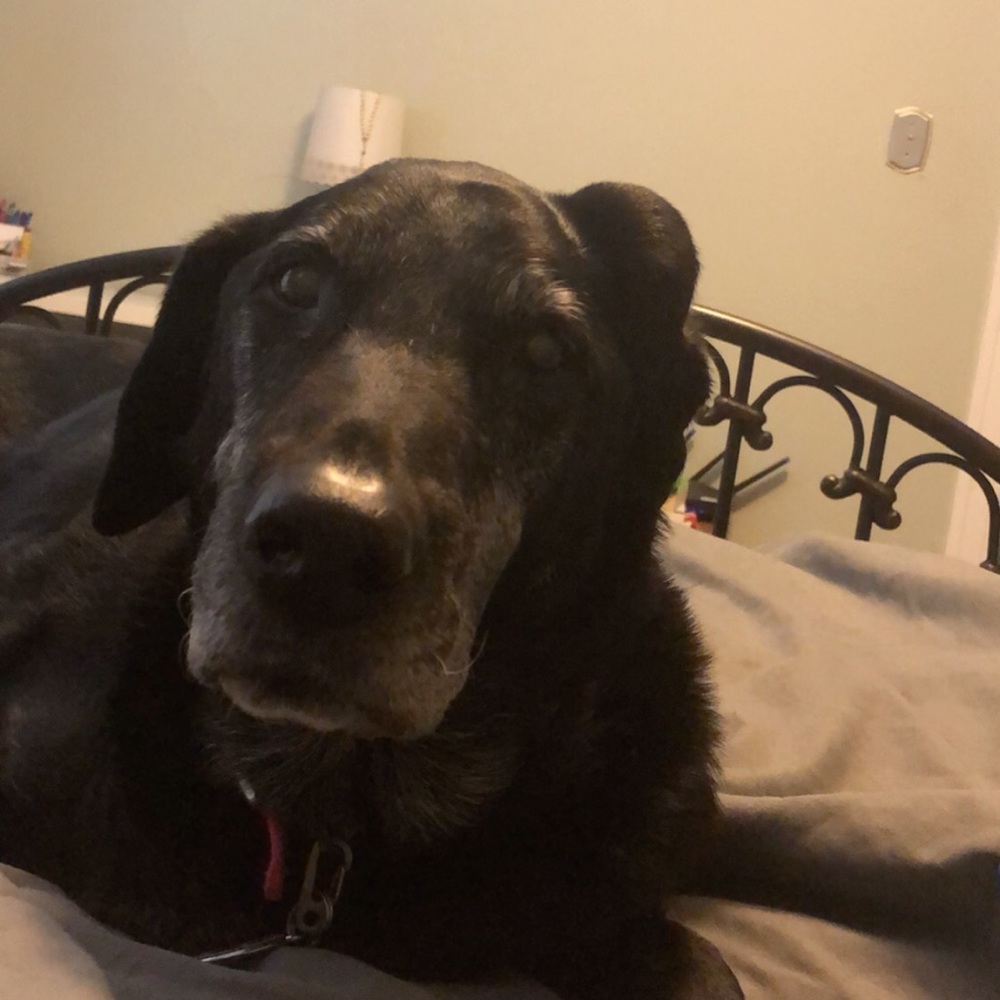 Meet your Posher, Stefanie